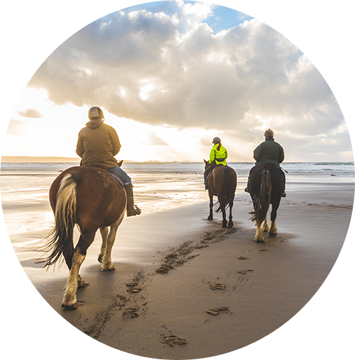 Horseback Riding of Myrtle Beach